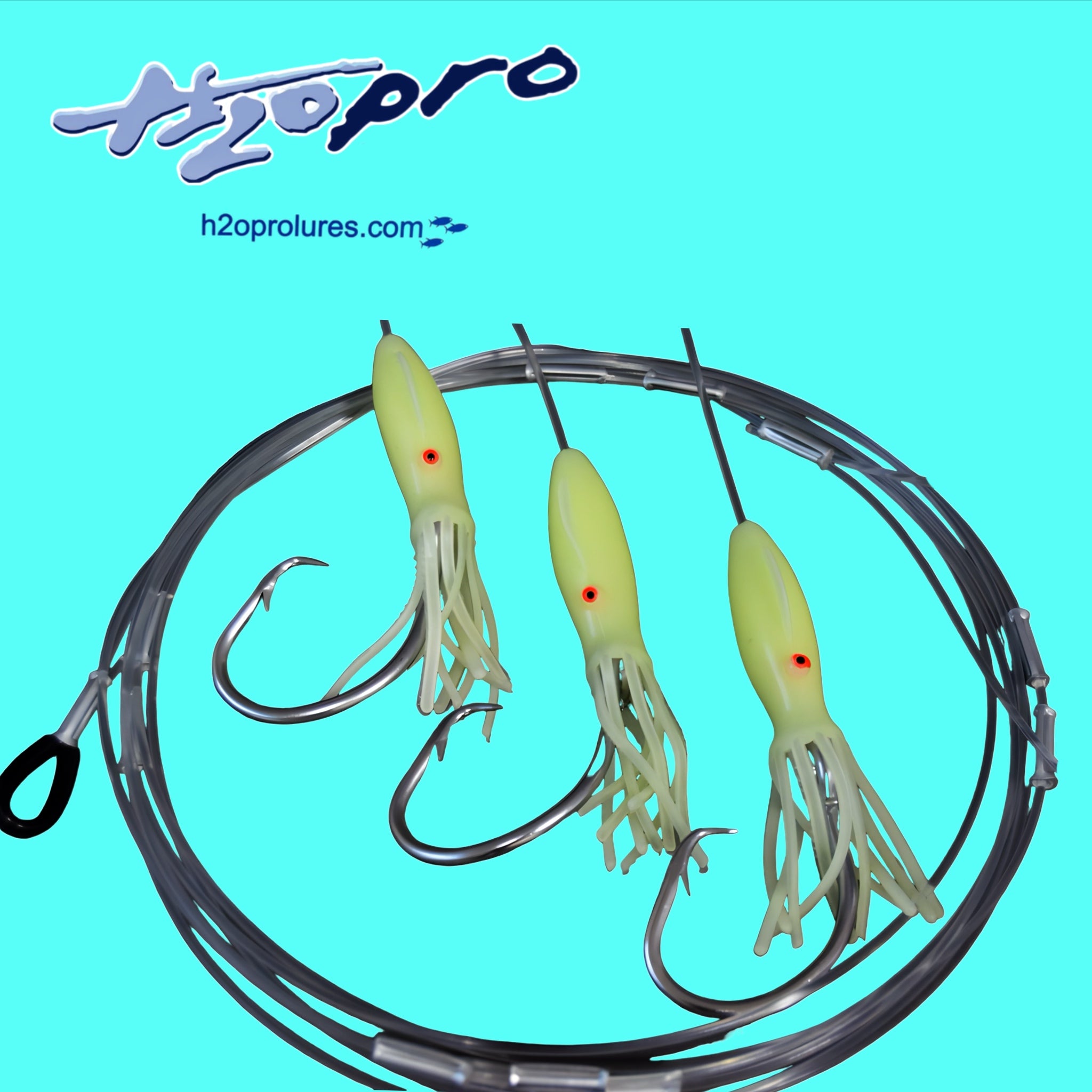 Electric Reel Deep Drop Rigs with 4